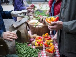 UVa Sponsored Farmers Market Accepts Plus Dollars