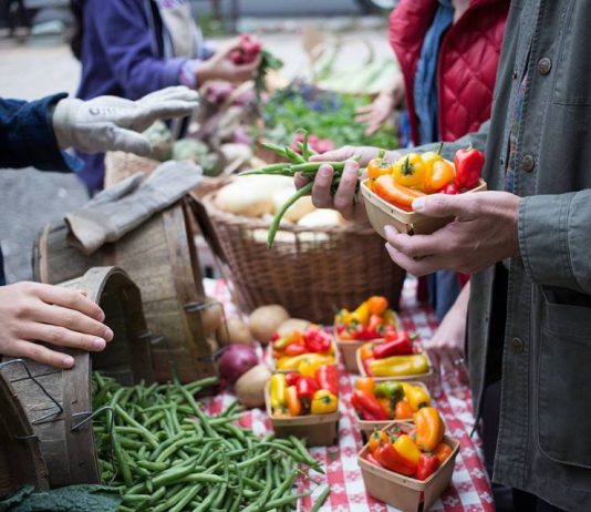 UVa Sponsored Farmers Market Accepts Plus Dollars