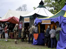 The Virginia Renaissance Faire-the Perfect Summer Day Trip