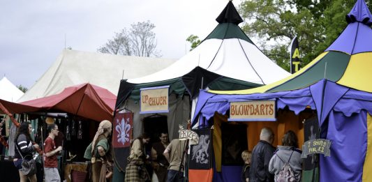 The Virginia Renaissance Faire-the Perfect Summer Day Trip