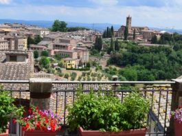 9 Reasons Why You Should Study Abroad in Siena, Italy