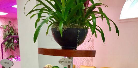 #40 for America’s Top Colleges, Unranked for Dining Halls