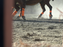 Going Clubbing: Episode 3 – Polo