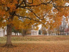 First Years’ Reflections: Thanksgiving Break