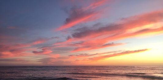 Third Year Emily Head’s Hawaiian Vacation Gone Wrong