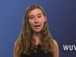 What Twins Reveal About Humanity