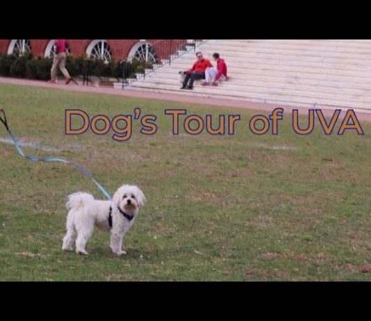 A Dog’s Tour of UVA