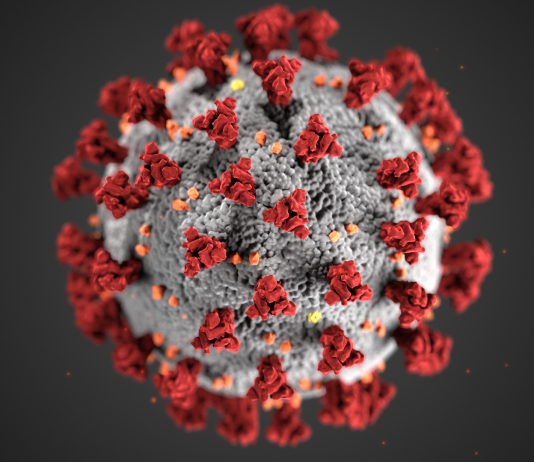 Coronavirus in Virginia Expected to Peak on May 28
