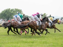 Off to the (Foxfield) Races | Kelsey Cox