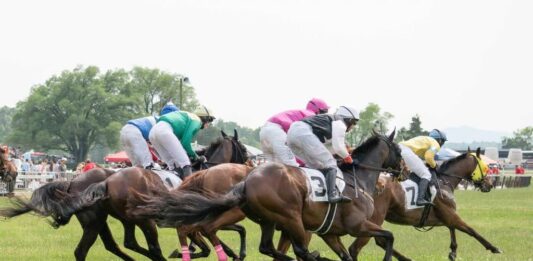 Off to the (Foxfield) Races | Kelsey Cox