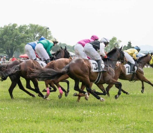 Off to the (Foxfield) Races | Kelsey Cox